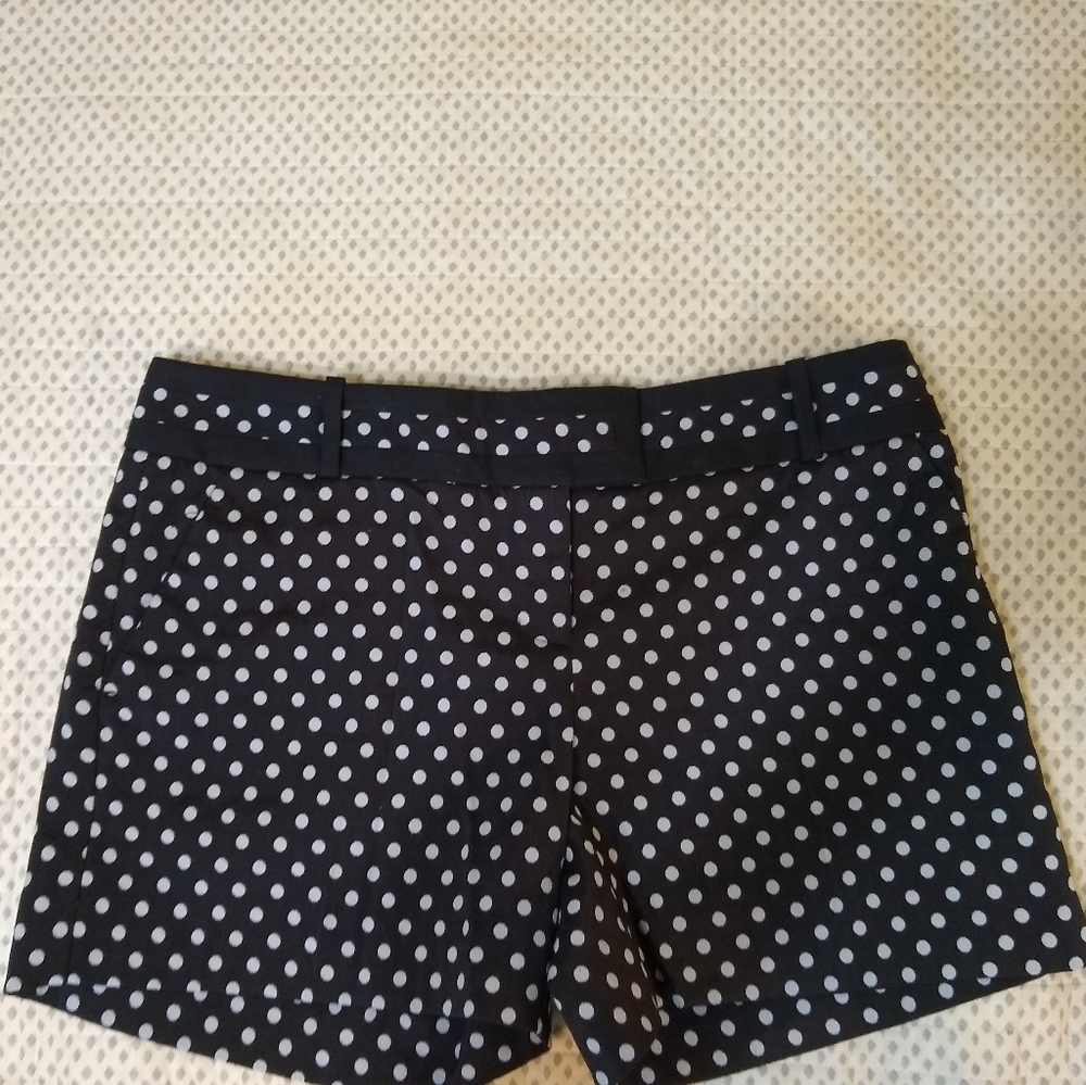 The Limited Polka Dots Navy Blue Black White Shorts Size 10
